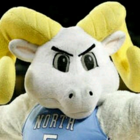 Meet your Posher, Lynn - Picture 1 of 1